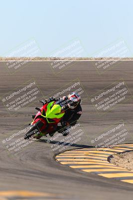 media/Jan-13-2024-SoCal Trackdays (Sat) [[9c032fe5aa]]/Bowl Exit Set 2 (1135am)/